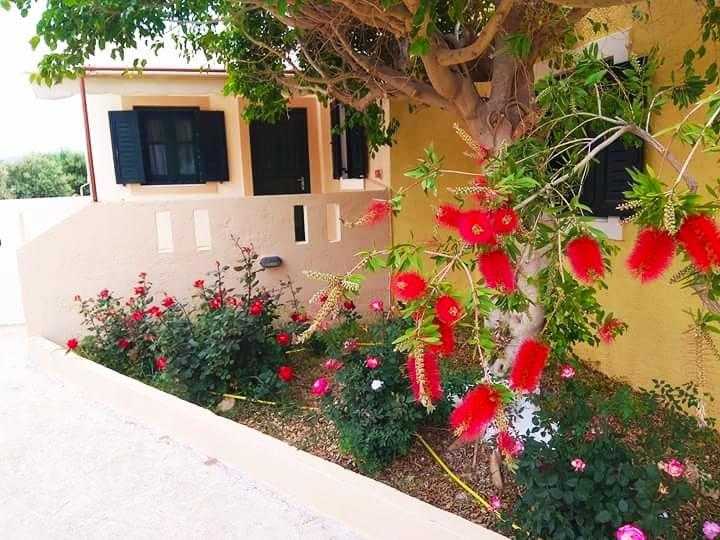Kouremenos Beach Apartments Palekastro Luaran gambar